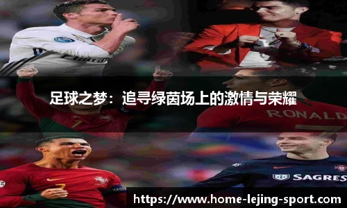 足球之梦：追寻绿茵场上的激情与荣耀